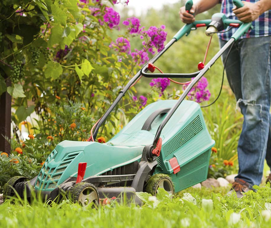 Hombre realizando mantenimiento a jardín